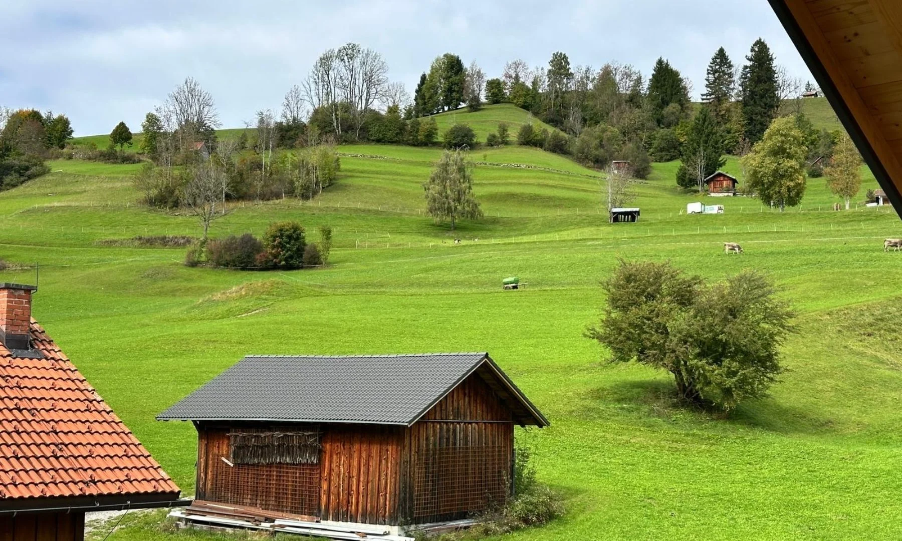 Blick vom Balkon auf grüne Allgäuer Wiesen mit Holzhütten und Bergwald